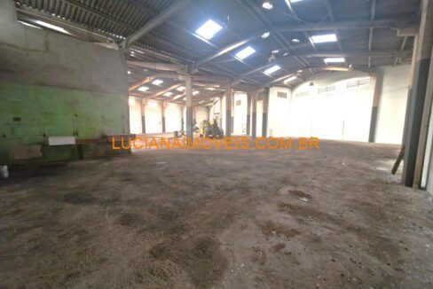 bal12367 (6)