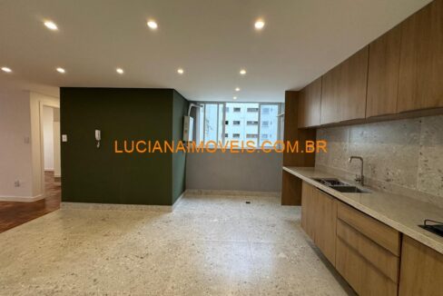 la13076 (15)