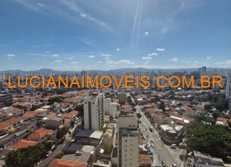 cux13099 (14)