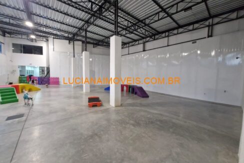 rmf13130 (2)