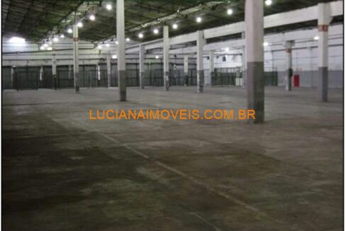 pl13150 (12)