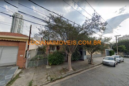 pl08575 (13)