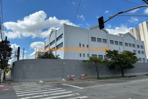 mpc13194 (1)
